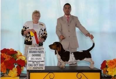 fura expoestravagance bona