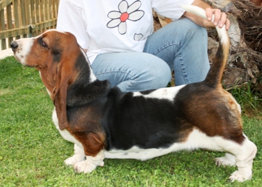 fartona 7 mesos i mig