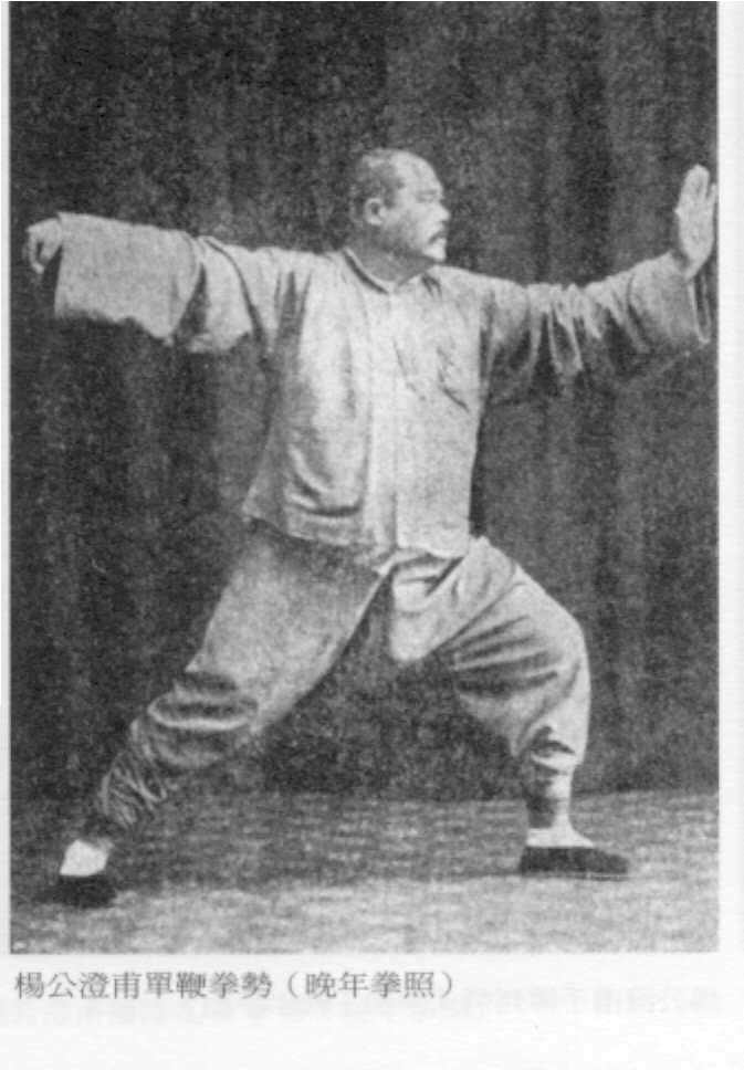 avi yang chen fu