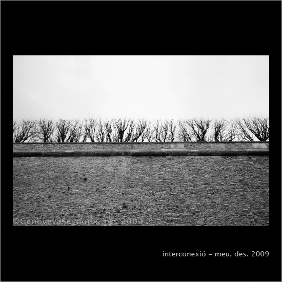 La Terrasse, Meudon, R&eacute;gion parisienne, gseydoux, genoveva seydoux, desembre, 2009, fred, blanc i negre, black and white, noir et blanc, bianco e nero