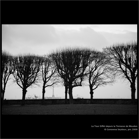 Fran&ccedil;a, fred, Paris, Torre Eifell, La Terrasse, Meudon, Ile-de-France, 2009