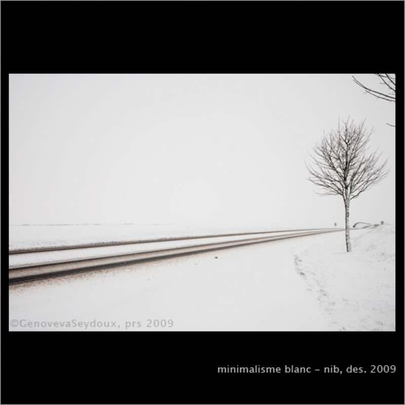 minimalisme, minimalismo, gseydoux, genoveva seydoux, neu, nieve, snow, Loiret, francia, fran&ccedil;a, 2009