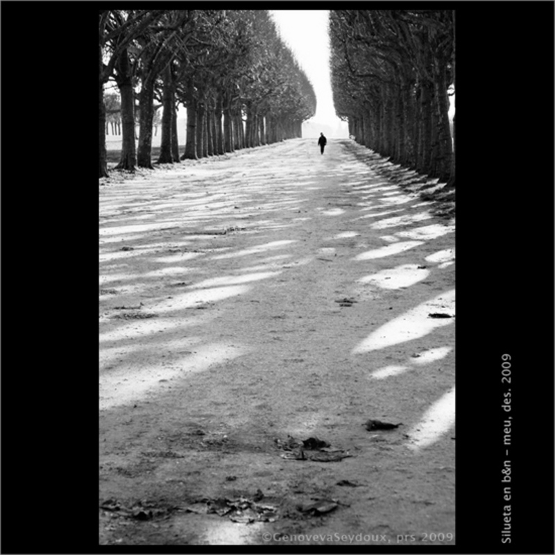 meudon, la terrasse, observatoire, all&eacute;e, parque, paseo, perspectiva, Genoveva Seydoux, PGfotografia, www.gseydoux.net, gseydoux, 2009, Francia, Paris, regi&oacute;n parisinia, Fran&ccedil;a, France, R&eacute;gion Parisienne, Ile de France, 92