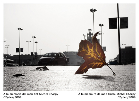 pla&ccedil;a espanya, barcelona, in memoriam, Michel Charpy, tardor, fulla