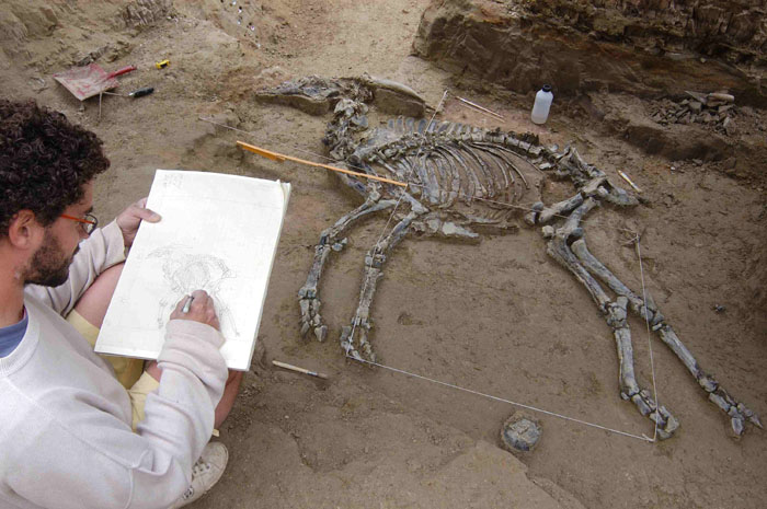 Dibuixant a l'excavaci&oacute; del Camp dels Ninots