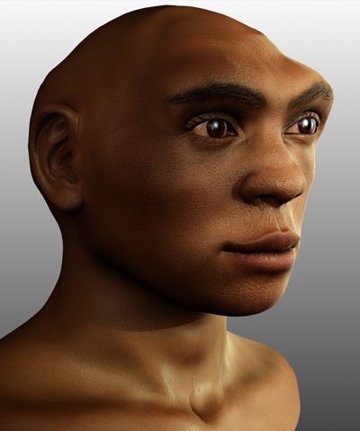 Reconstrucci&oacute; d'Homo antecessor