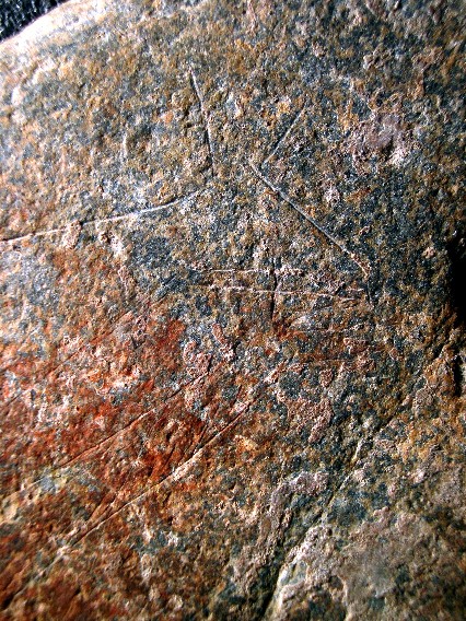 Cap de cervola gravada del Mol&iacute; del Salt