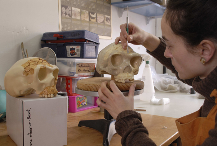 Gala G&oacute;mez reconstruint l'Homo antecessor