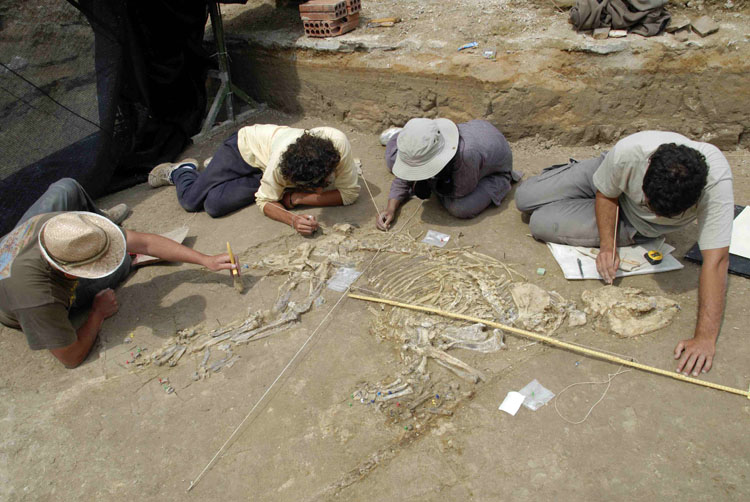 Excavaci&oacute; Camps dels Ninots