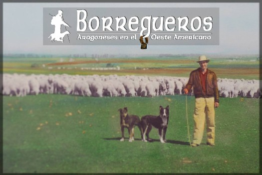 Portada documental Borregueros