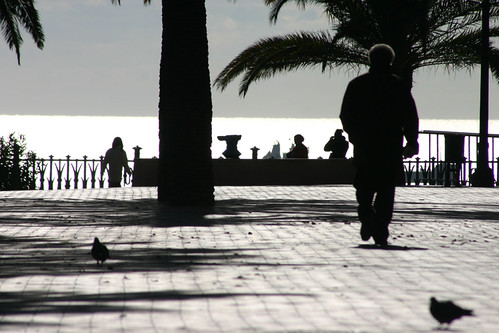 Contrallum mediterr&agrave;nia