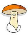 bolet petito