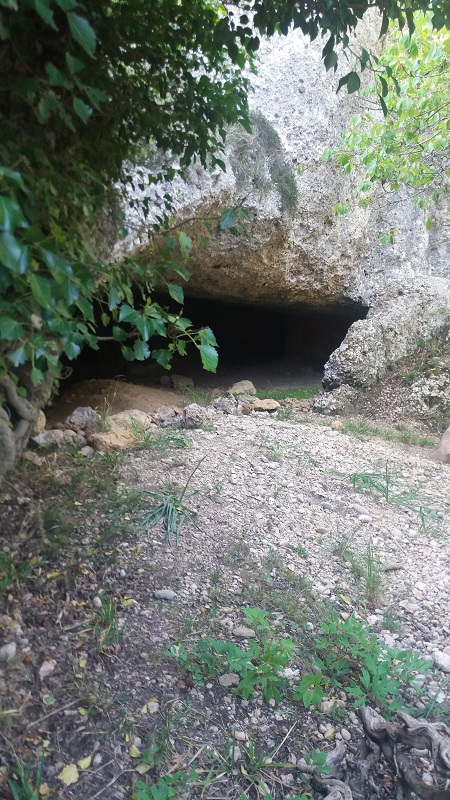 cova